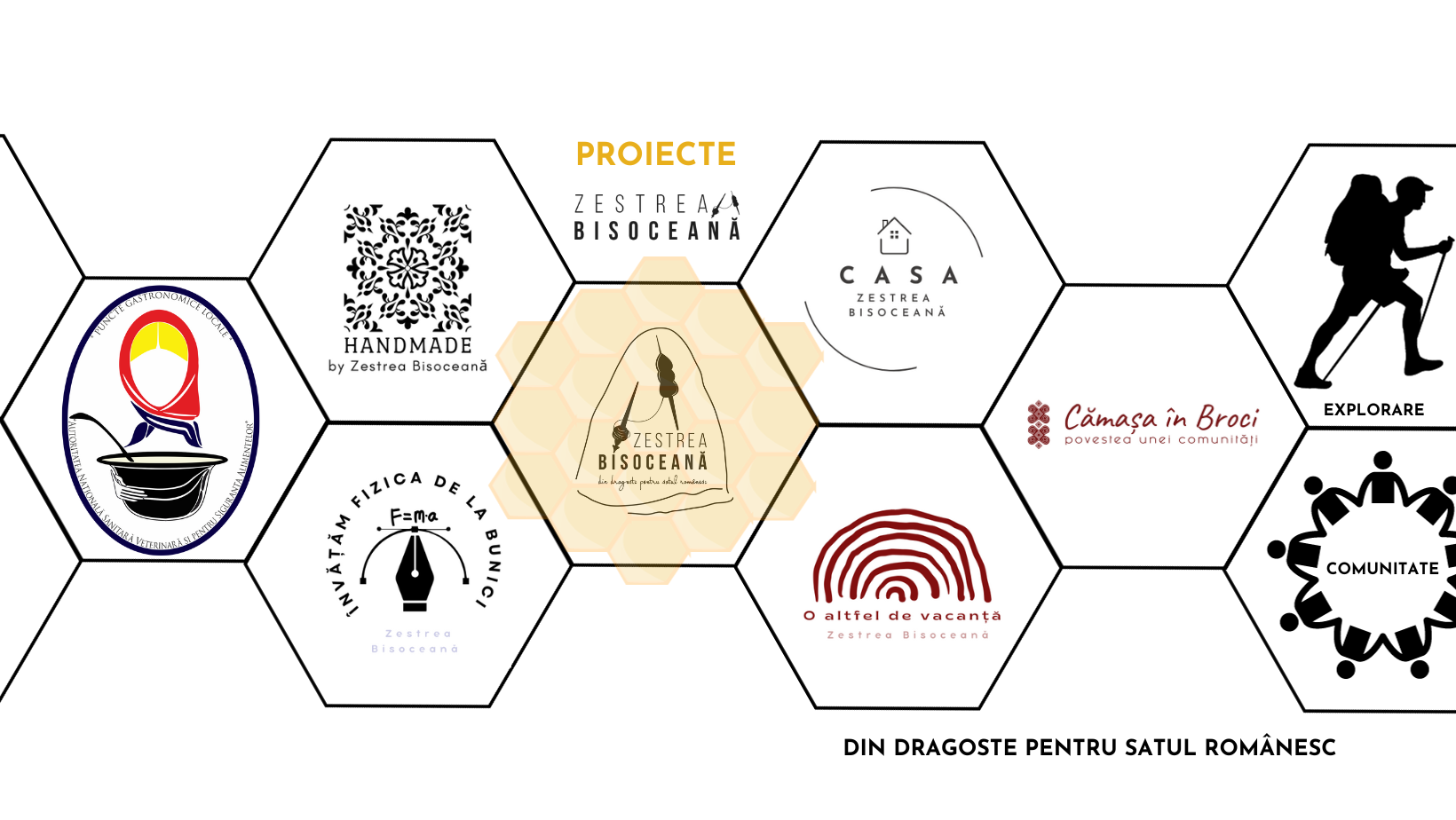 zestrea bisoceană, ong, asociație, fă bine, e gratis, organic, buzău