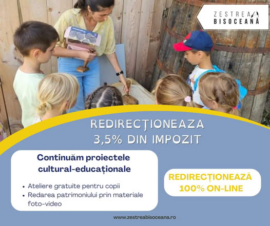 zestrea bisoceană, ong, asociație